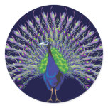 Peacock Stickers