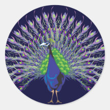 Peacock Stickers