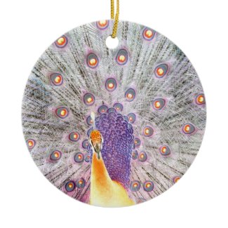 Peacock Tail and Head Inverted Colours Photo Christmas Ornaments