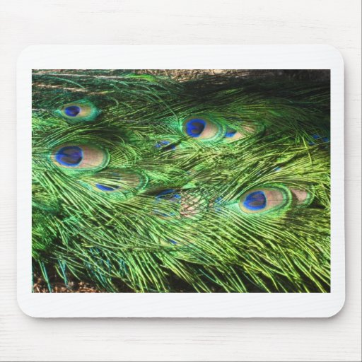 peacock tail mouse pads