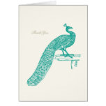 Peacock Thank You Card cards