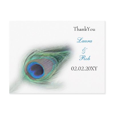 peacock ThankYou Cards Postcard