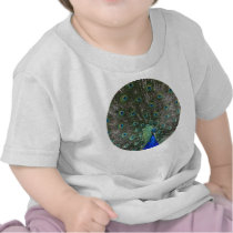 Peacock t-shirts