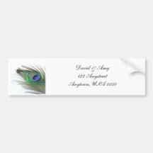 Peacock Wedding Bumper Stickers