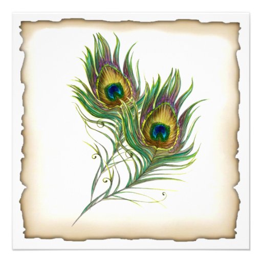 Peacock Wedding Invitation