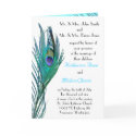 Peacock Wedding Invitation cards by socallaghan Peacock Wedding Invitation cards