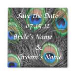 Peacock Wedding Magnet Peacock Wedding Magnet