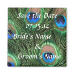 Peacock Wedding Magnet Peacock Wedding Magnet