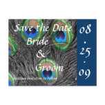 Peacock Feather Wedding Save the Date Postcards with Blue