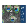 Peacock Wedding Save the Date Post Card