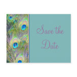 Peacock Wedding Save The Date Postcard