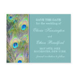 Peacock Wedding Save The Date Post Card
