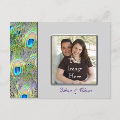 Peacock Wedding Save The Date Postcards