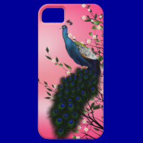 Peacock with Japanese blush sum casemate cases