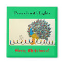 Peacock with Lights magnets