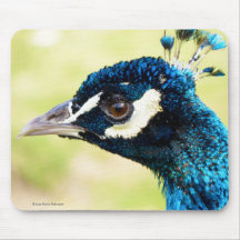 Peacock with new Crest | Peafowl Mousepad