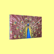 Peacock Wrapped Canvas Print canvas prints