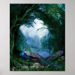 Peacocks Art Poster/Print