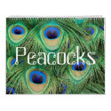 Peacocks Calendar