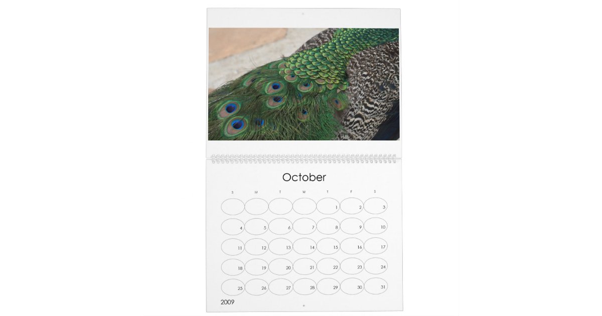 Peacocks Calendar Zazzle