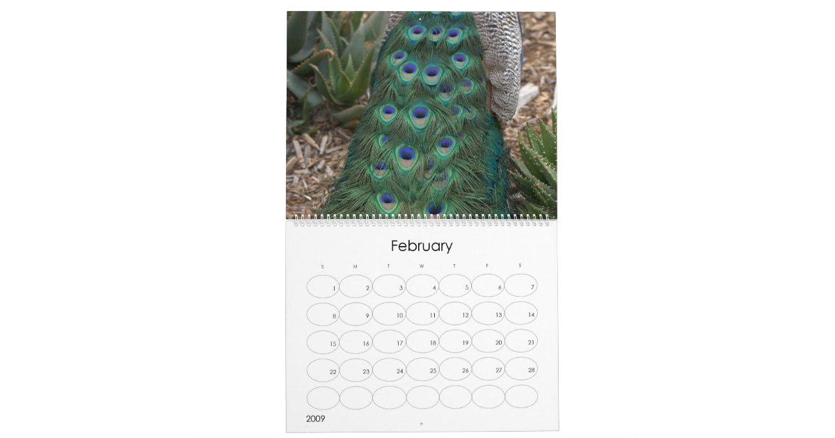 Peacocks Calendar Zazzle