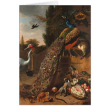 Peacocks Card