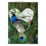 Peacocks in a Heart cards