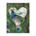 Peacocks in a Heart Postcard