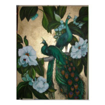 Peacocks in Magnolia Tree posters by chaos4tu Peacocks in Magnolia Tree posters