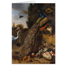 Peacocks - Melchior d' Hondecoeter Cards