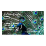 Peafowl Bird Business Cards