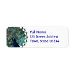 Peafowl Bird Mailing Labels