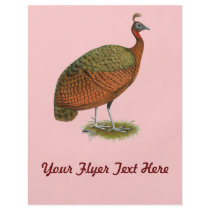 Peafowl:  Congo Peahen Full Color Flyer