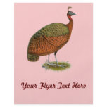 Peafowl:  Congo Peahen flyers