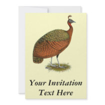 Peafowl:  Congo Peahen Custom Invitations