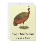 Peafowl:  Congo Peahen Custom Invitations