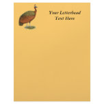 Peafowl:  Congo Peahen letterhead