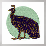 Peafowl:  Impressionistic Congo Hen Posters