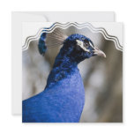 Peafowl Invitations
