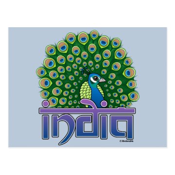 Peafowl of India Postcard < Around the World < Birdorable