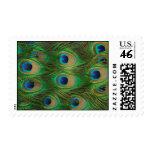 Peafowl / Peacock Feather Postage