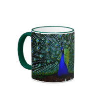 "Peafowl Plumage" Mug