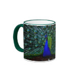 "Peafowl Plumage" Mug