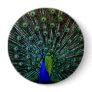 "Peafowl Plumage" Pin