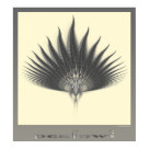  - the basic is a tiny artmatic fractal, the body, which i used to make the feathers with photoshop: Sizes 