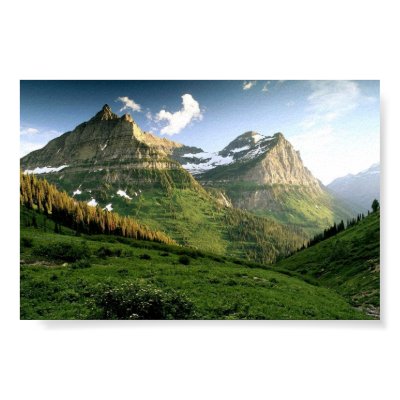 Peak-a-boo 2 posters by photonature