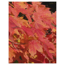 Peak leaves full color flyer