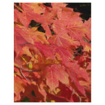 Peak leaves personalized letterhead