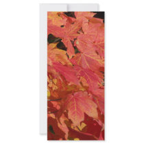 Peak leaves rack card design