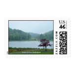 blue ridge parkway, peaks of otter, stamp,